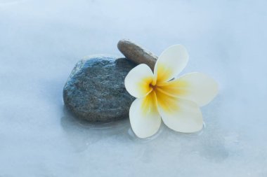 Spa çiçek taşları mermer tablo arasında