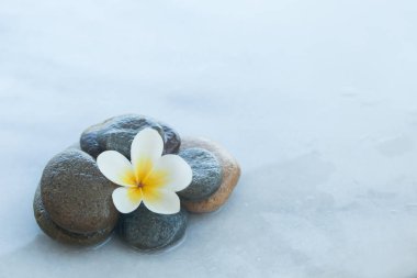Beyaz masa üzerinde çiçek nesneleri ve taş ile spa kümesinin üstten görünüm 
