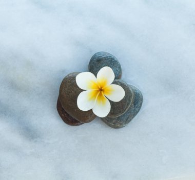 Beyaz mermer zemin üzerinde bir spa çiçek ve taşların üstten görünüm.