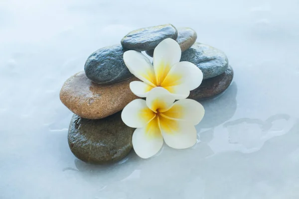 spa objects for massage on white background.