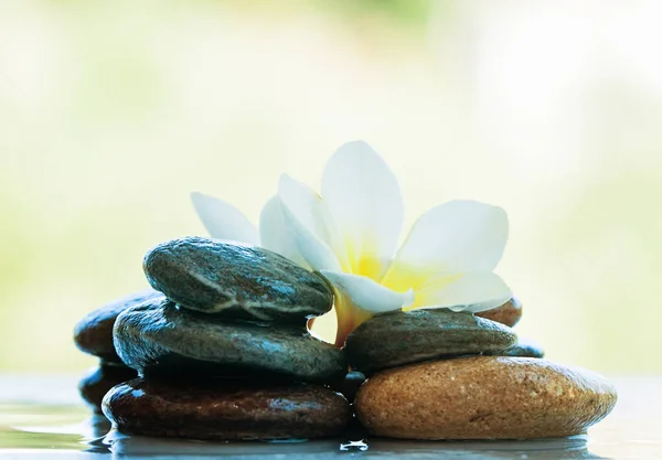 Flower Stones White Table Outdoors — Stock Photo, Image