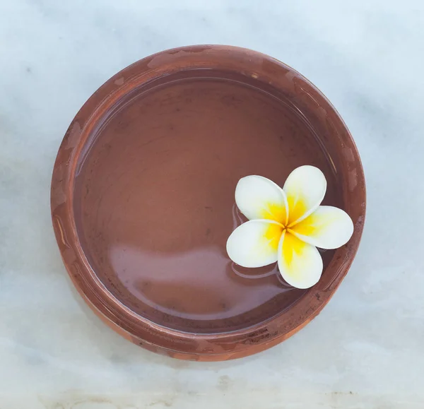 Draufsicht Auf Die Wellnessblume Der Wasserschale Zur Massagebehandlung Auf Weißem — Stockfoto