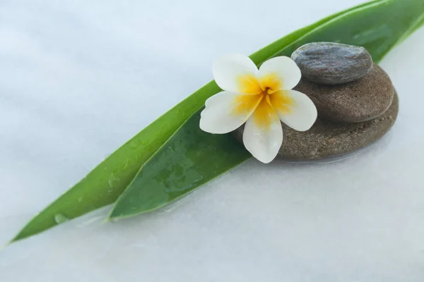 Spa Objecten Voor Relax Massage Witte Marmeren Achtergrond — Stockfoto