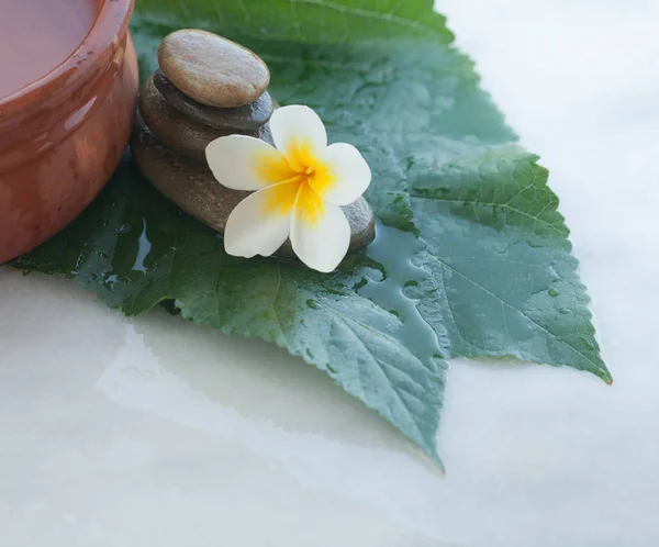 Biały Kwiat Tropikalnej Liście Duże Zielone Kamienie Masażu — Zdjęcie stockowe