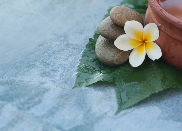 Spa Objecten Met Bloem Zonlicht Massagetafel — Stockfoto