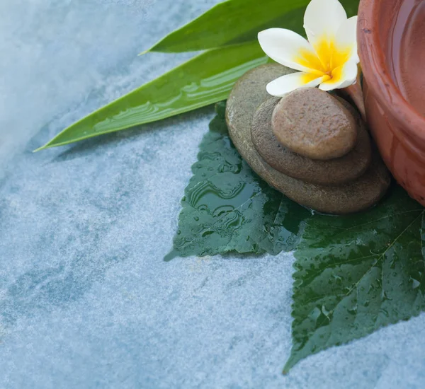 Weiße Schöne Blume Aus Stein Mit Großen Grünen Blättern Auf — Stockfoto