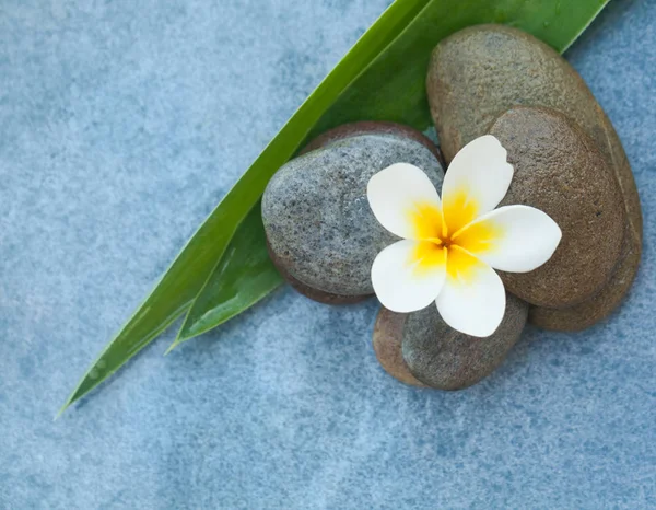 Bovenaanzicht Van Bloem Stenen Voor Relax Massagekamer Blauwe Achtergrond — Stockfoto