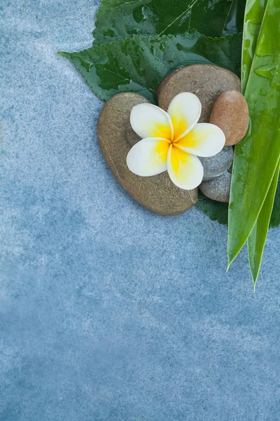 Vista Superior Flor Branca Pedras Para Relaxar Quarto — Fotografia de Stock