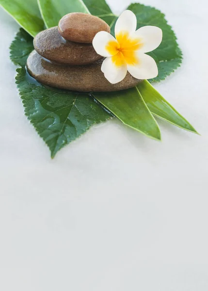 Flor Spa Sobre Piedras Para Tratamiento Masaje Sobre Fondo Blanco —  Fotos de Stock