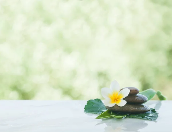 Flor Tropical Entre Piedras Sobre Mesa Blanca Con Luz Solar —  Fotos de Stock