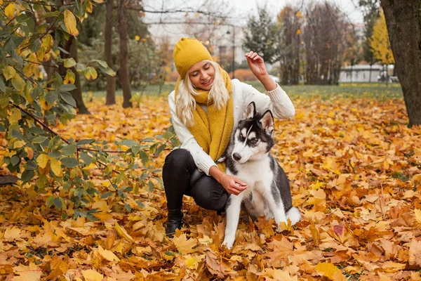 Dog Husky Mulher Brincando Fundo Amarelo Outono — Fotografia de Stock