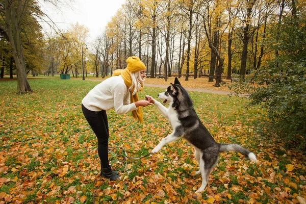 Hund Gibt Der Pfote Eine Frau — Stockfoto