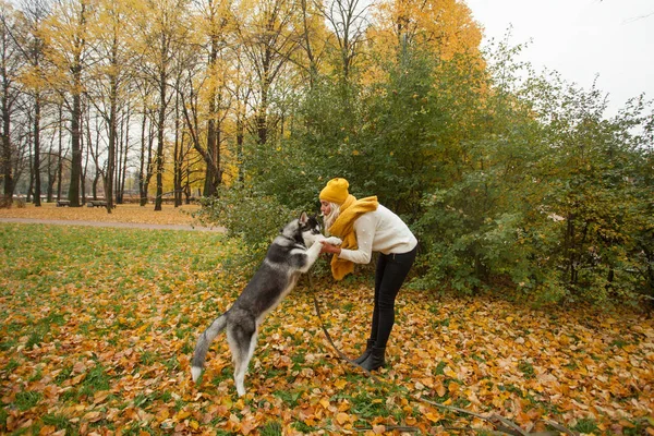 Donna Pet Husky All Aperto Formazione Cani — Foto Stock