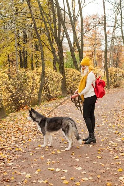 Ung Kvinna Och Hund Promenader Parken — Stockfoto