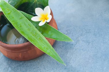 Spa nesneleri ve taşlar ve su relax masaj için kase