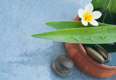 Tablo arka plan çiçek ve taşların üzerinde relax masaj tedavisi için en iyi görünümü patladı.