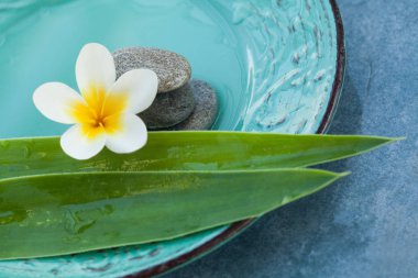 Spa nesneleri ve taşların Masaj tedavi plaka üzerinde üstten görünüm