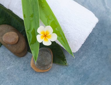 Spa Oda için tropikal nesnelerinin üstten görünüm