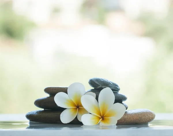 Set Flores Tropicales Piedras Aire Libre Con Luz Solar — Foto de Stock