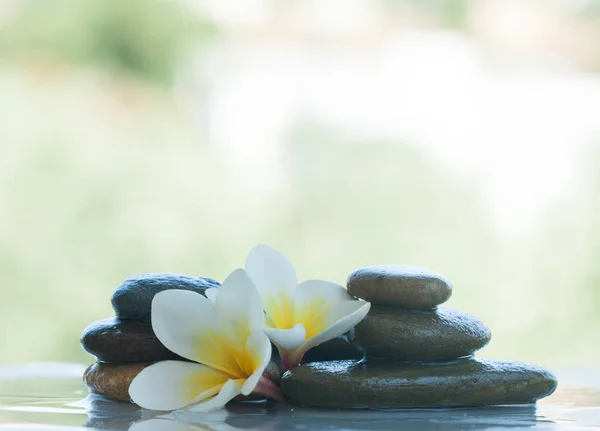 Wellness Objekte Mit Blumen Und Steinen Für Massageanwendungen Auf Weißem — Stockfoto