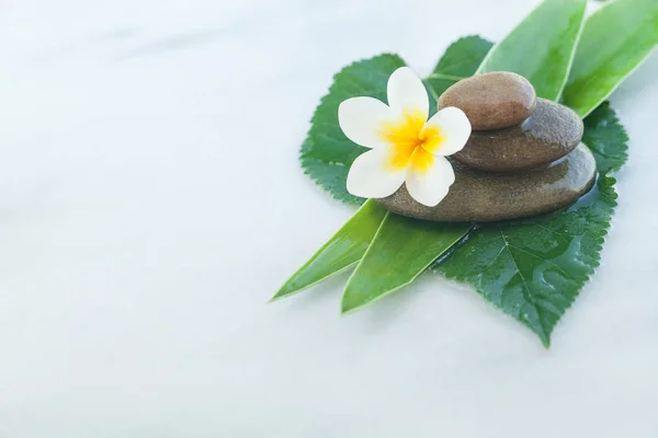 Flor Spa Piedras Para Tratamiento Masaje Sobre Fondo Mármol Blanco —  Fotos de Stock