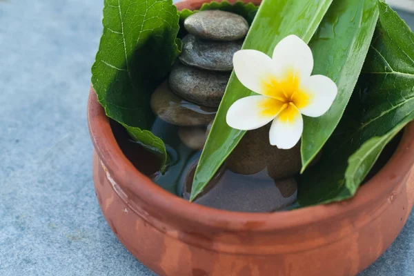 Spa Bloem Tussen Verlaat Stenen Voor Relax Massagekamer — Stockfoto