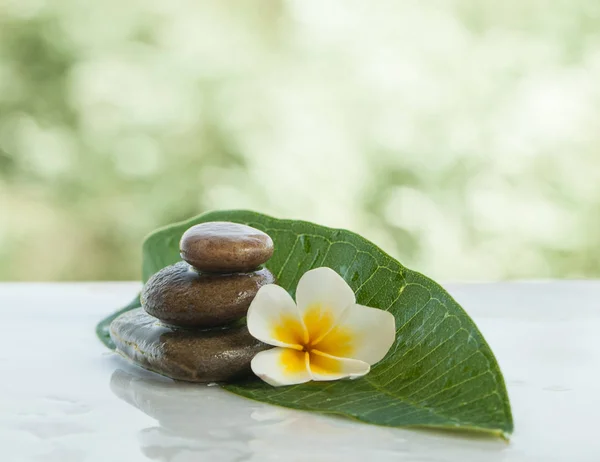 spa flower and stones with sunlight for massage treatment on white background.