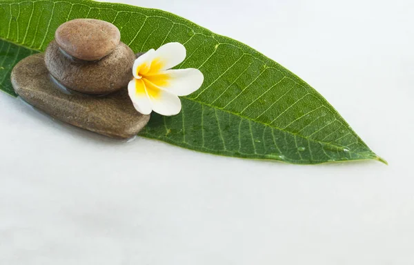 Wellness Objekte Blume Und Stein Für Massagen Auf Weißem Hintergrund — Stockfoto