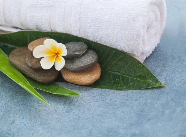 Flor Entre Pedras Para Tratamento Massagem Fundo Azul — Fotografia de Stock