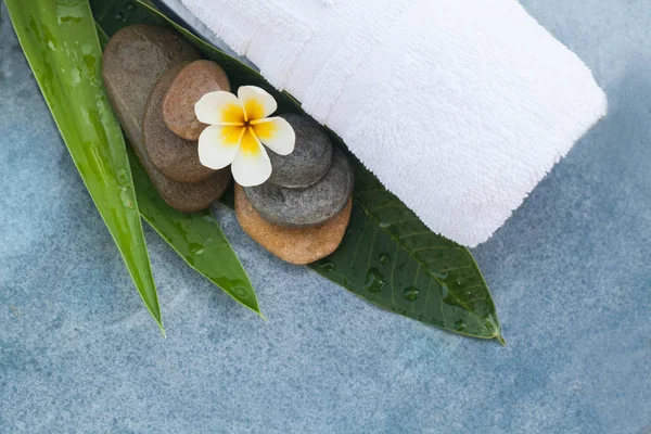 Bovenaanzicht Van Bloem Spa Stenen Voor Massagebehandeling Blauwe Achtergrond — Stockfoto