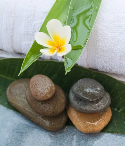 Ovanifrån Spa Blomma Mellan Två Gröna Blad För Massagebehandling Blå — Stockfoto
