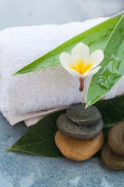 Wellness Blume Zwischen Zwei Blättern Für Massageraum — Stockfoto