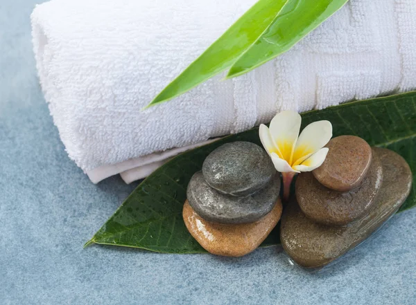 Spa Tropische Bloem Met Stenen Voor Massageruimte — Stockfoto