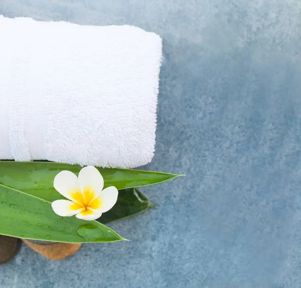 Tropische Set Voor Massage Met Bloem Stenen Bladeren Blauwe Tabelachtergrond — Stockfoto