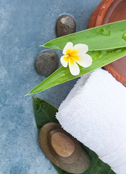 Tropikal güzel çiçek ve taşlar mavi masa artalanını Masaj tedavi için üstten görünüm.