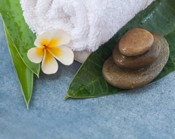 Tropische Set Wellness Voor Massage Blauwe Achtergrond — Stockfoto