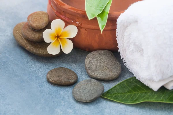 Conjunto Tropical Para Tratamento Massagens Com Flores Pedras Fundo Azul — Fotografia de Stock