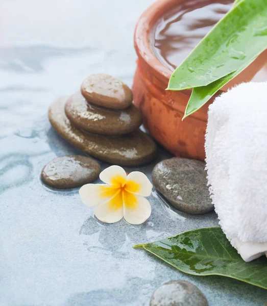 Tropische Objecten Met Witte Tropische Flowerfor Massage Behandeling — Stockfoto