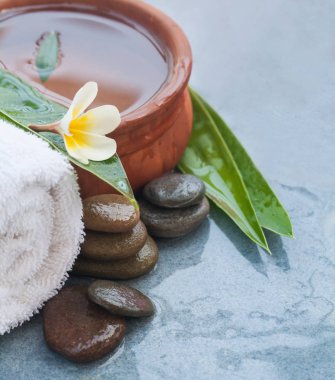 Yeşil yaprakları ve masaj tedavisi için taş tropikal çiçek