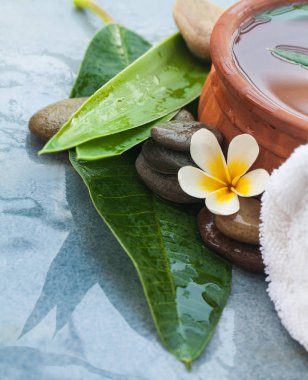 Spa çiçek, taşlar ve mavi zemin üzerine masaj tedavisi için bitkisel kase.