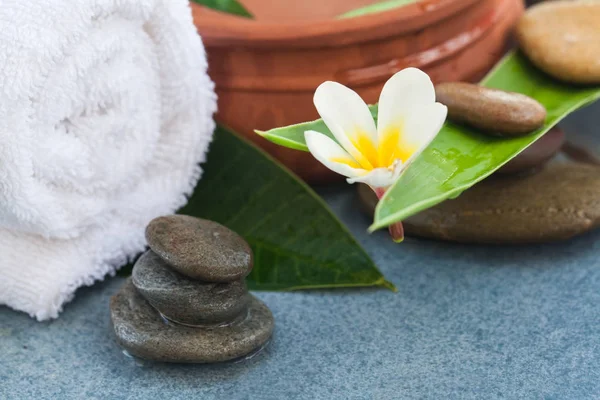 Tropische Komposition Zur Massagebehandlung Auf Blauem Hintergrund — Stockfoto