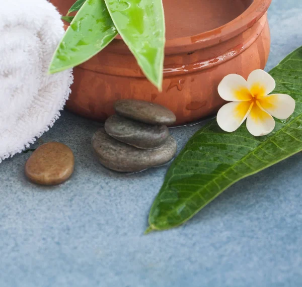 Spa Tropische Instellen Met Zonlicht Voor Massagebehandeling — Stockfoto