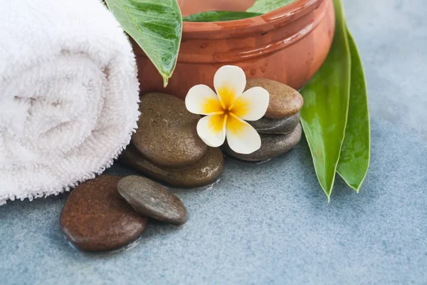 Spa Tropische Organische Objecten Stenen Voor Relax Massage Behandeling — Stockfoto