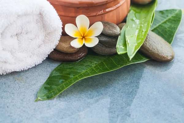 Tropische Wellness Objekte Für Entspannungsmassage Auf Blauem Grund — Stockfoto