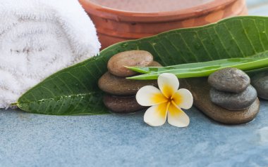 yeşil yaprakları ve masaj tedavisi için havlu ile Spa nesneleri