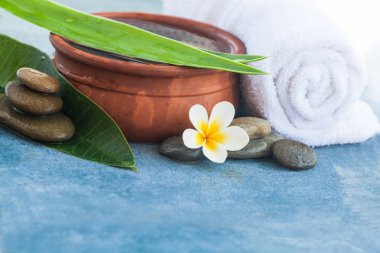 Tropikal çiçek ve taşlar mavi arka plan tedavi.