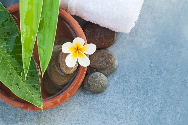 Draufsicht Weiße Tropische Blume Und Gänseblätter Und Steine Auf Blauem — Stockfoto