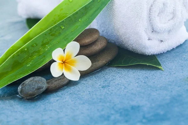 Flower and spa leaves with stones for health massage on blue background.