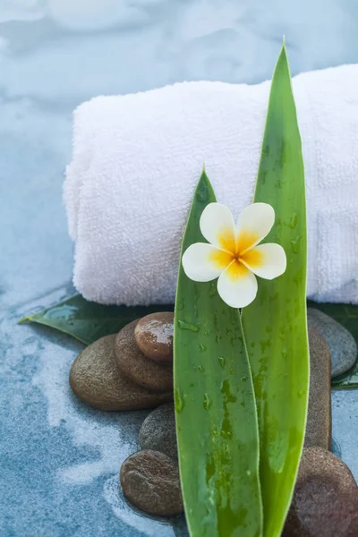 Objetos Tropicais Toalha Branca Para Tratamento Massagem Spa Fundo Mesa — Fotografia de Stock