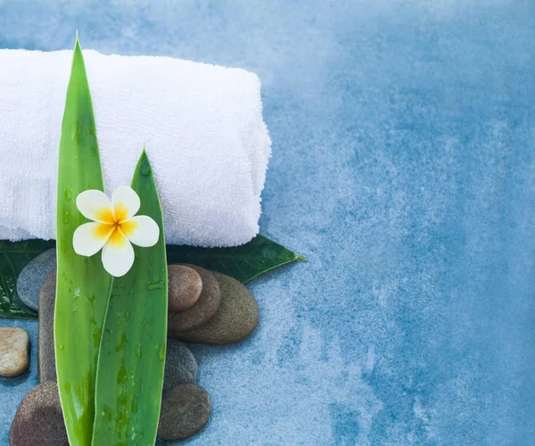 Wellness Set Für Massage Gesunde Behandlung Auf Blauem Hintergrund — Stockfoto